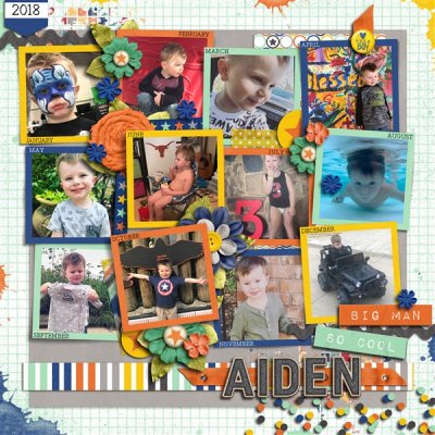 Aiden 2018