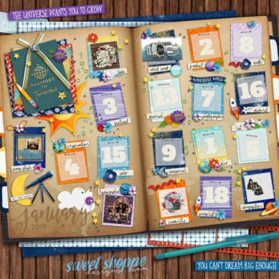 Passport JANUARY to date