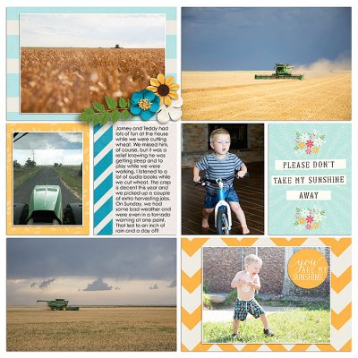 Project 2018- Week 25 (right)