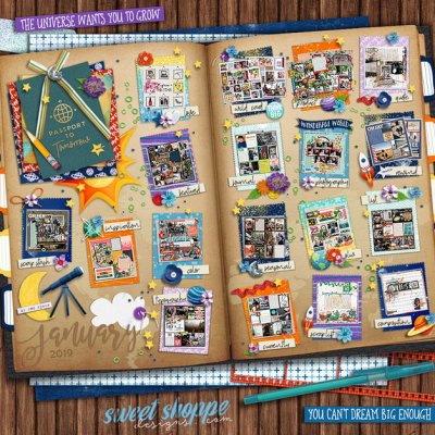 January passport 2019