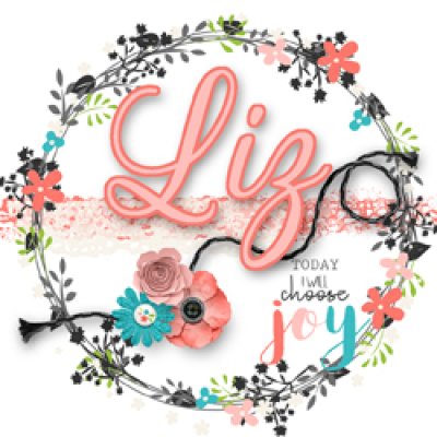 Siggy