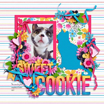 Sweet Cookie