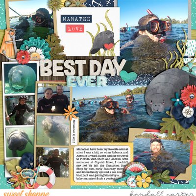 Manatee Love