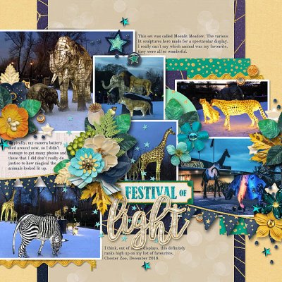Festival of Light