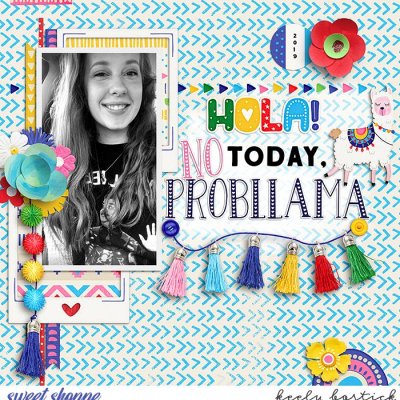 No Probllama