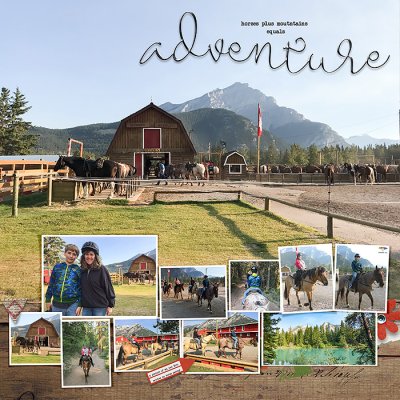 Banff Horses