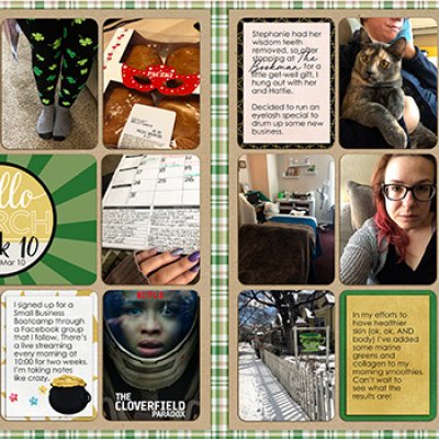 Project 2019 week 10