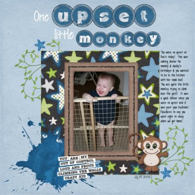 Upset little monkey
