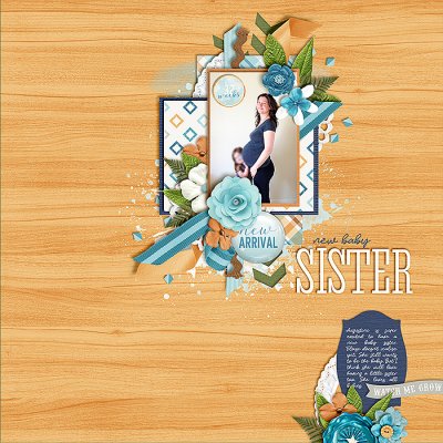 new baby sister