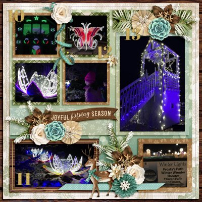 Christmas Lights 2018 pg2