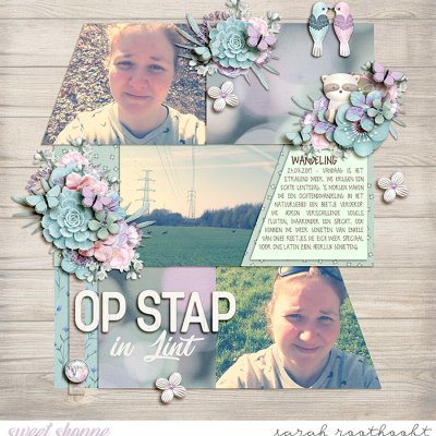 Op stap in Lint