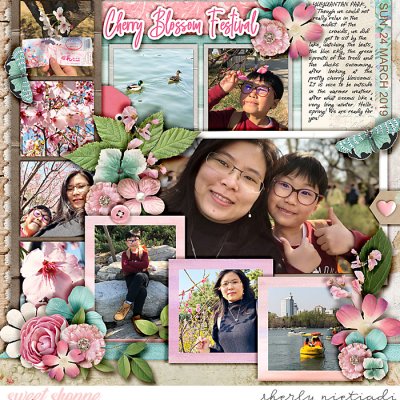 Cherry Blossom festival