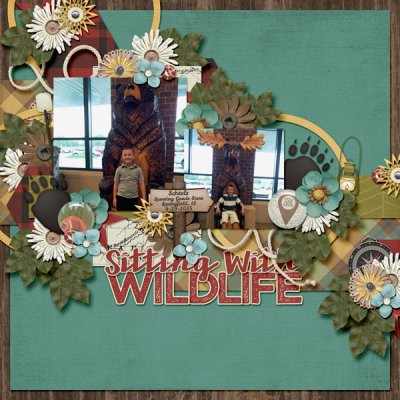 Sitting With Wildlife