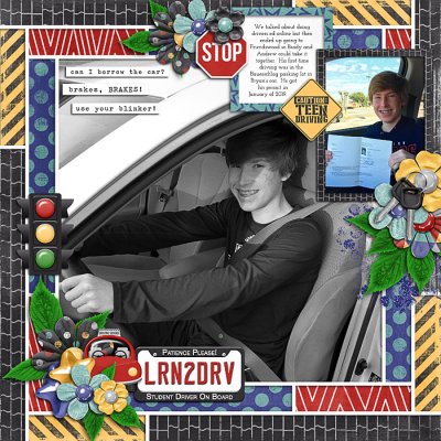 Brady's permit