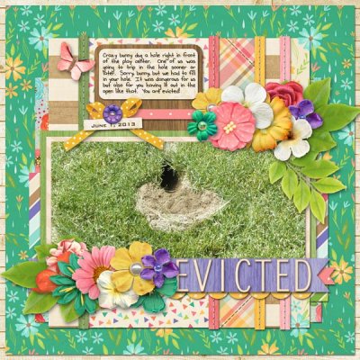 Evicted