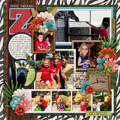 Drive Through Zoo
