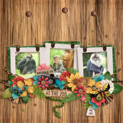 At the zoo