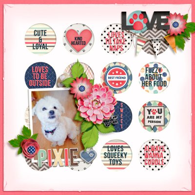 Love Pixie
