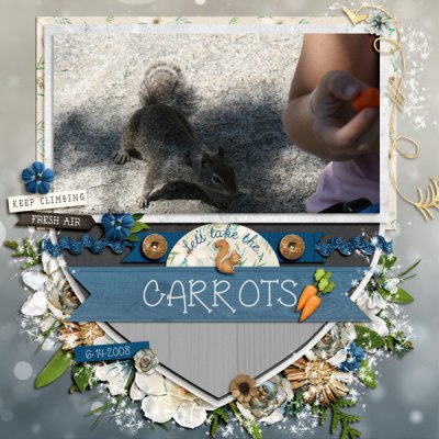 2019_3 passport #17 scrap stash  3 kits