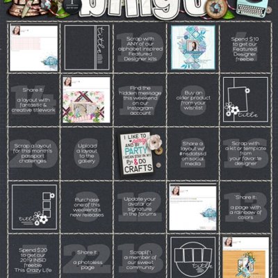 2019_iNSDbingo1