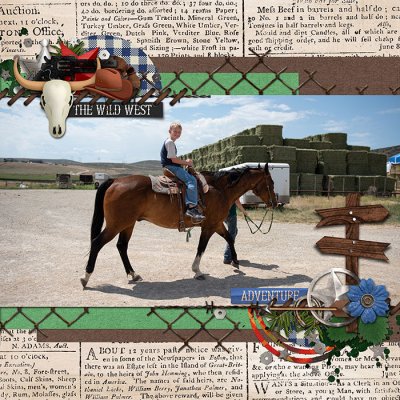 Horses