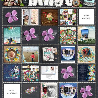 INSD bingo card