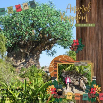 Animal Kingdom Tree of Life