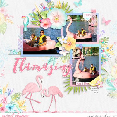 Flamingo ride