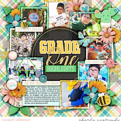 Grade one highlights