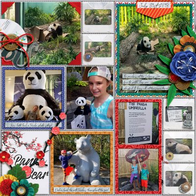 Panda Bear 1