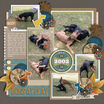 Dogs at Play