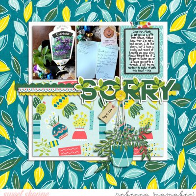 Dear Plant... I'm Sorry