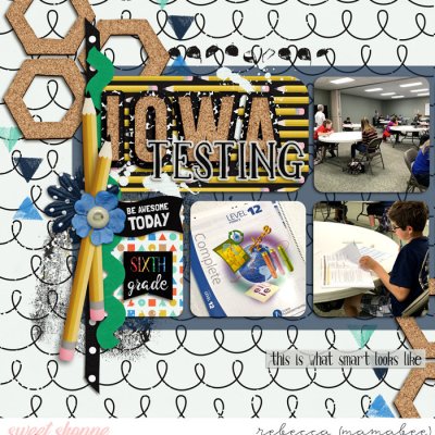 IOWA testing_ left