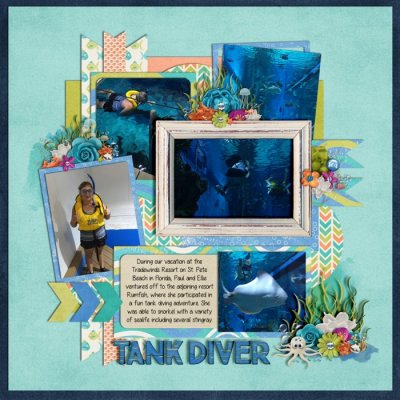 Vacations - St. Petersburg Tank Diver