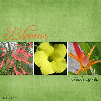 Blooms
