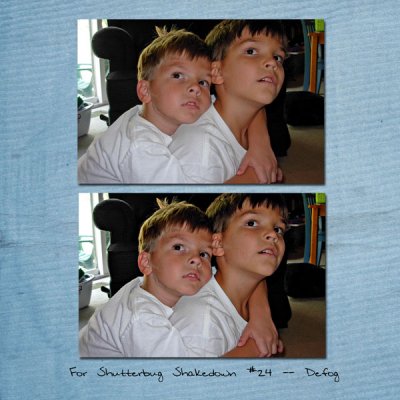 Shutterbug Shakedown 24