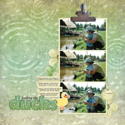 feeding the ducks