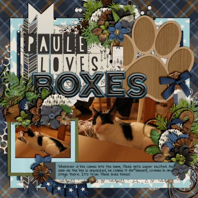 Paule Loves Boxes