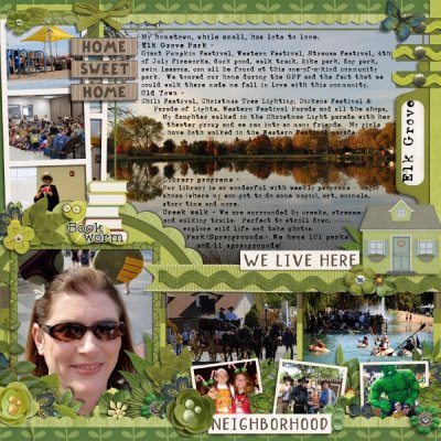 Summer Getaway - Elk Grove