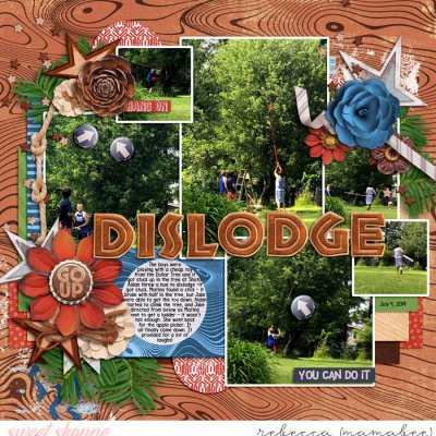 Dislodge