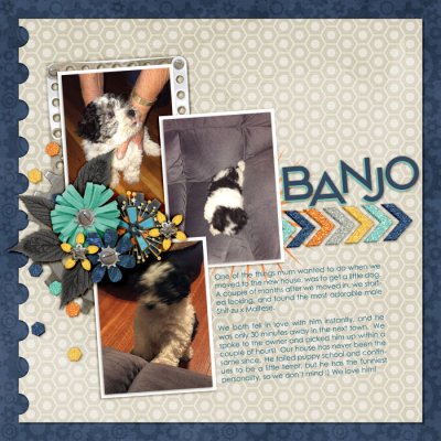 Banjo