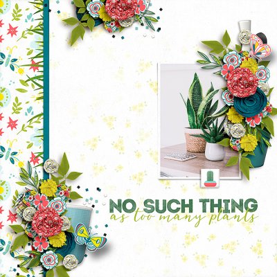 No Such Thing