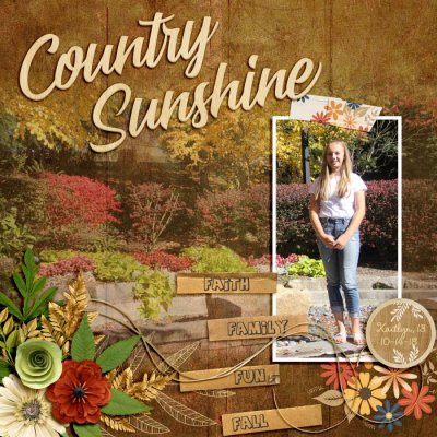 Country Sunshine