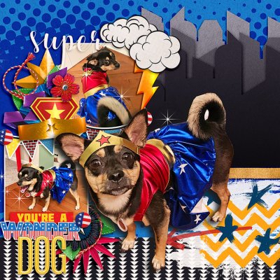 Wonder Dog
