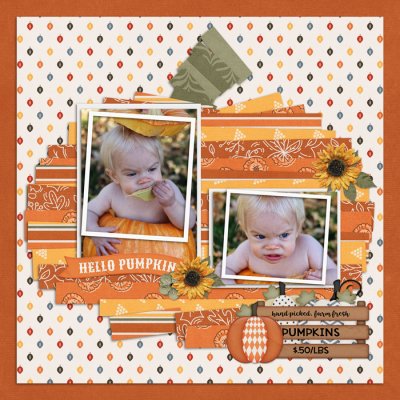 Inside the Pumpkin