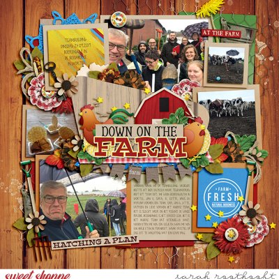 Down on the farm