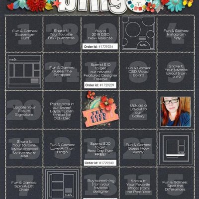 2019 DSD Bingo