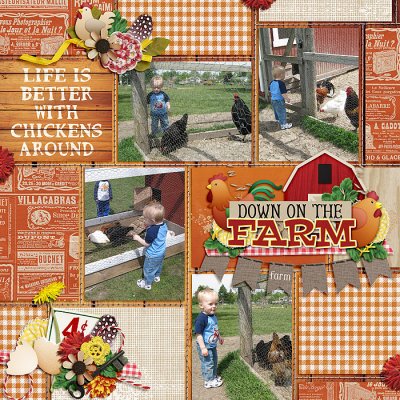 Chickens Everywhere