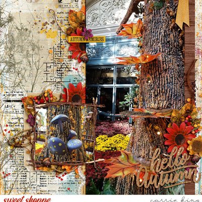 Autumn at the Bellagio