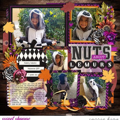 Nuts about Lemurs